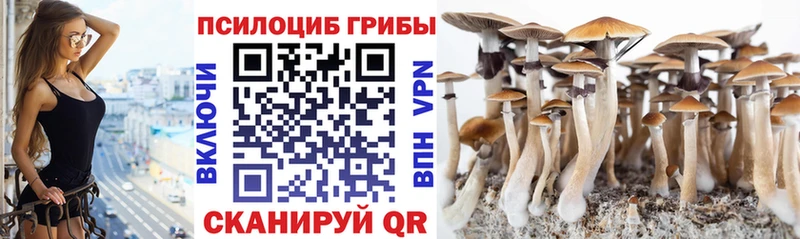цена Сосновка Псилоцибиновые грибы ЛСД