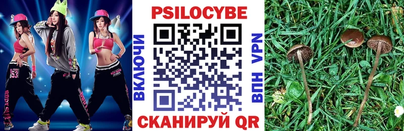 Псилоцибиновые грибы Psilocybe Сосновка